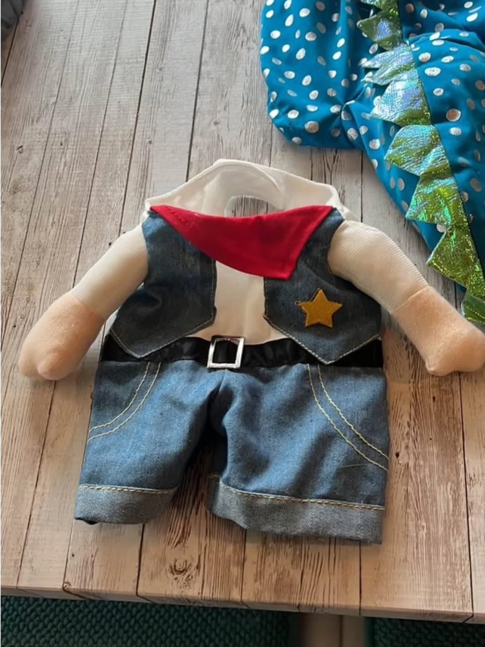 Assorted Pet Costumes